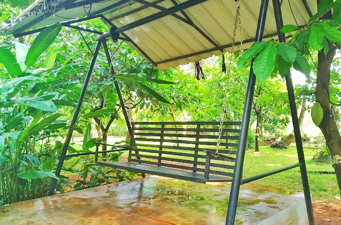 Enjoy luxury amenities at Carisbrook farm house