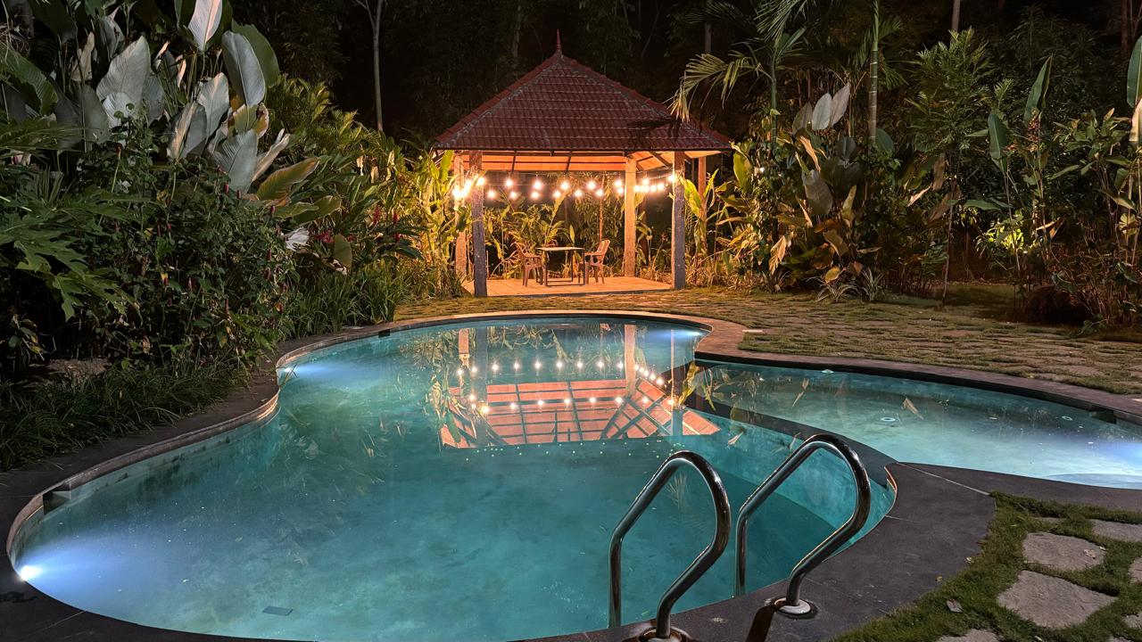 Serene swimming pool surrounded by trees at a Bangalore farm stay, perfect for relaxation