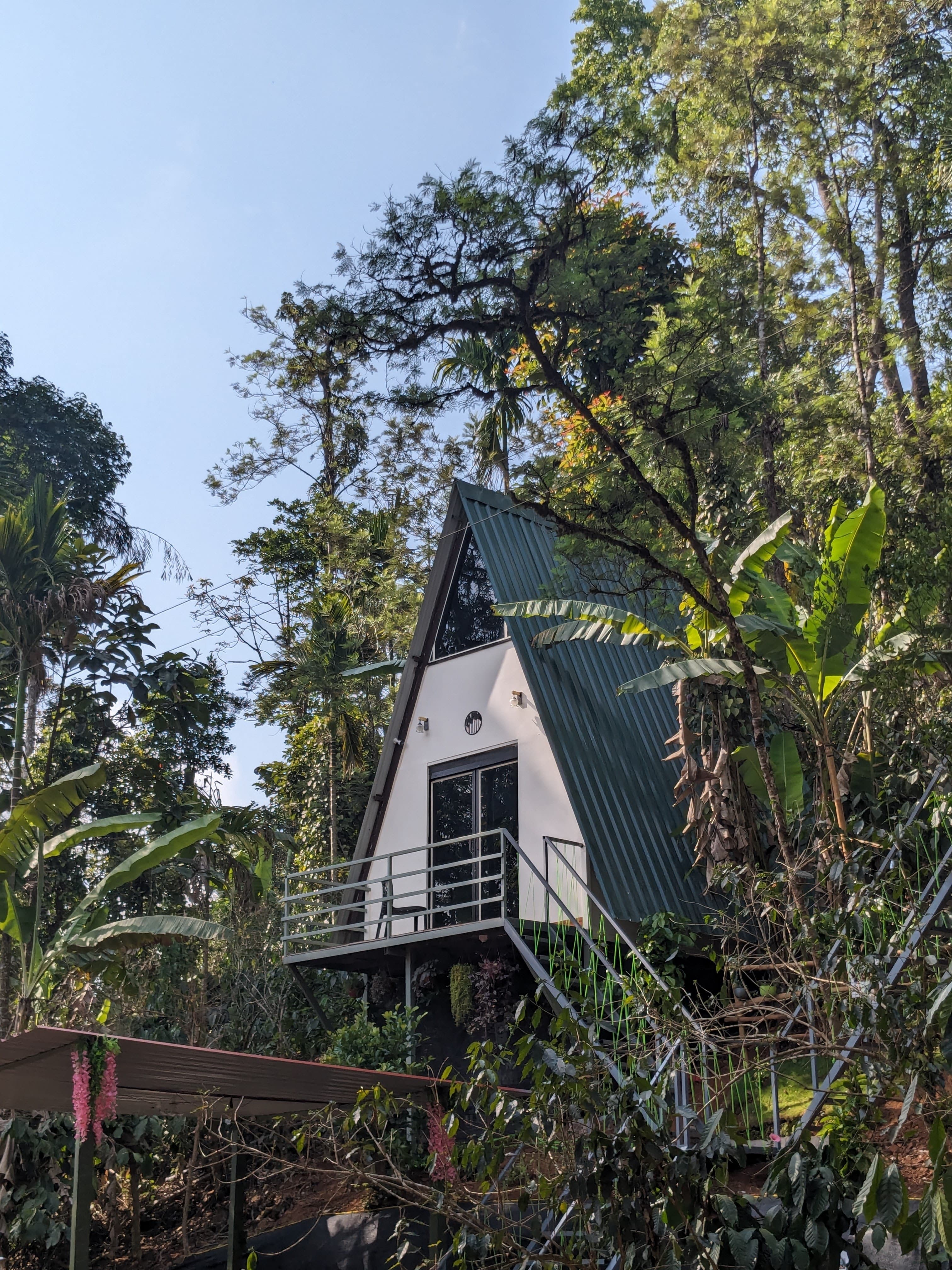 Stay in Madikeri with stunning coffee plantation views