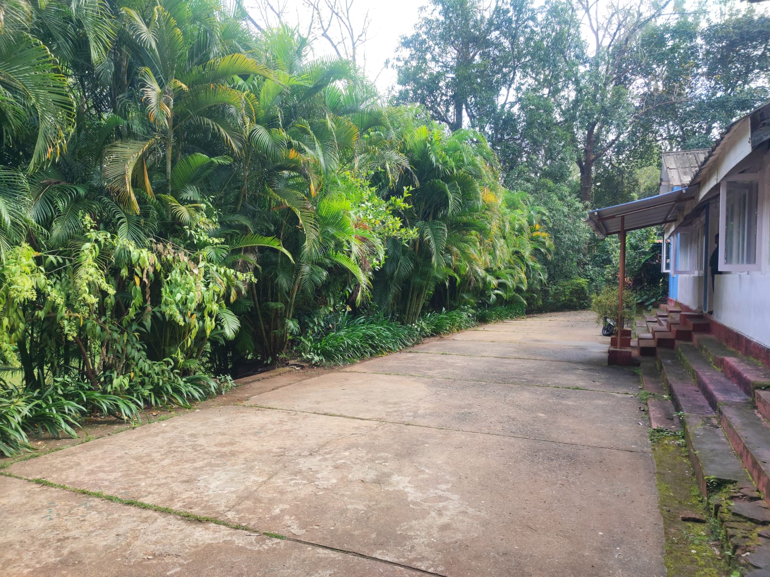 Affordable family-friendly stay at Wild Flower Homestay in Dandeli