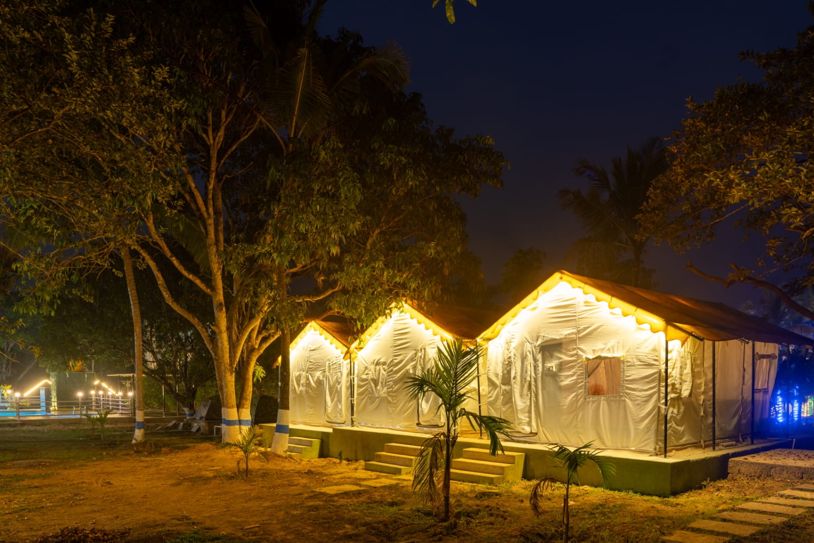 Discover wildlife near your stay at Dandeli homestay