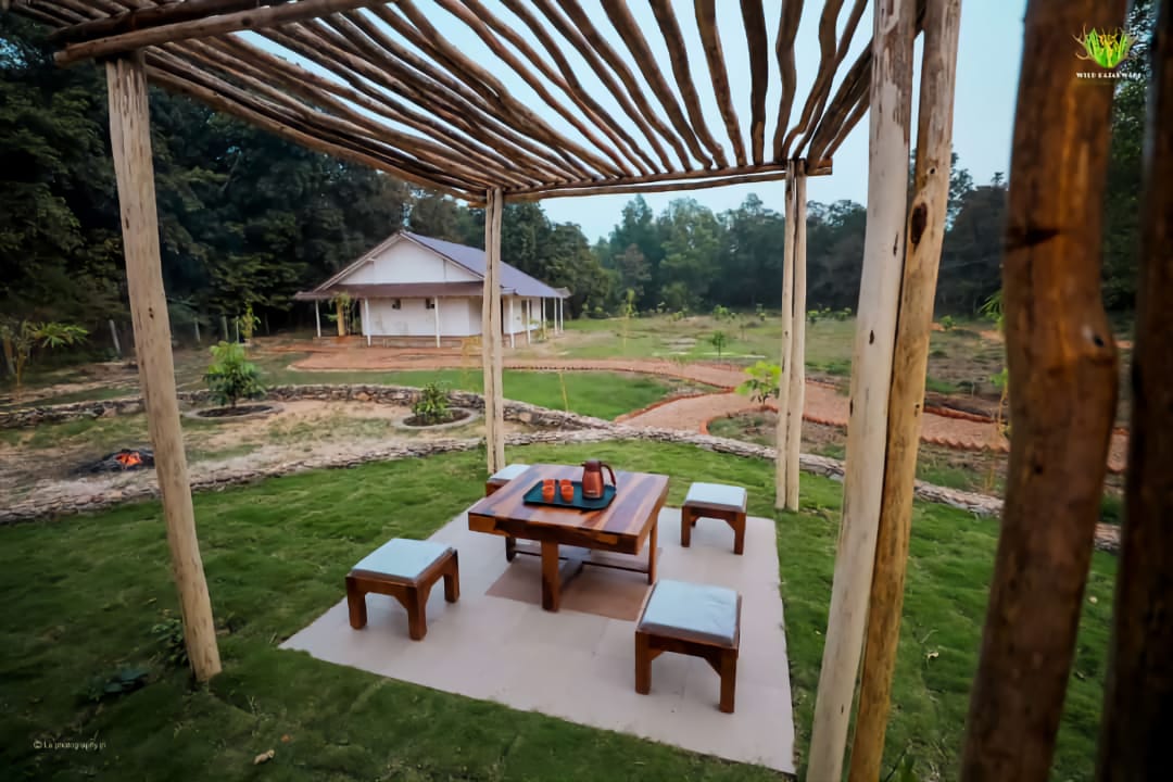 Charming nature homestay surrounded by lush green trees
