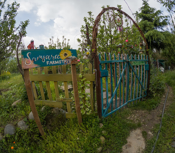 Affordable homestay options in Manali