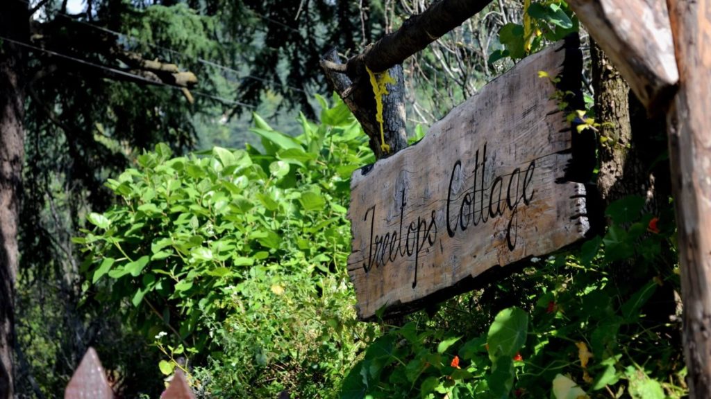 Relax in Naggar, Kullu.