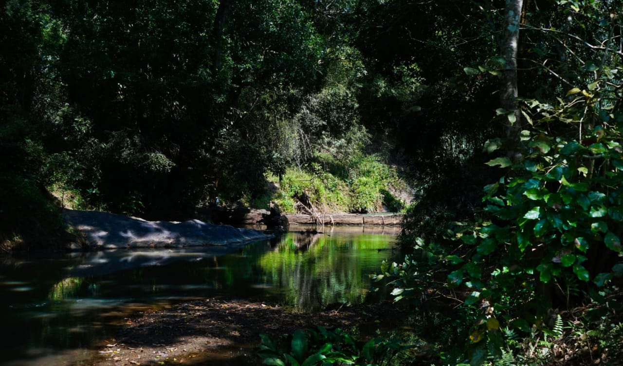 Find serenity at Greensvista Wayanad