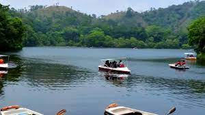 Taj Wayanad Resort & Spa nestled in lush greenery.