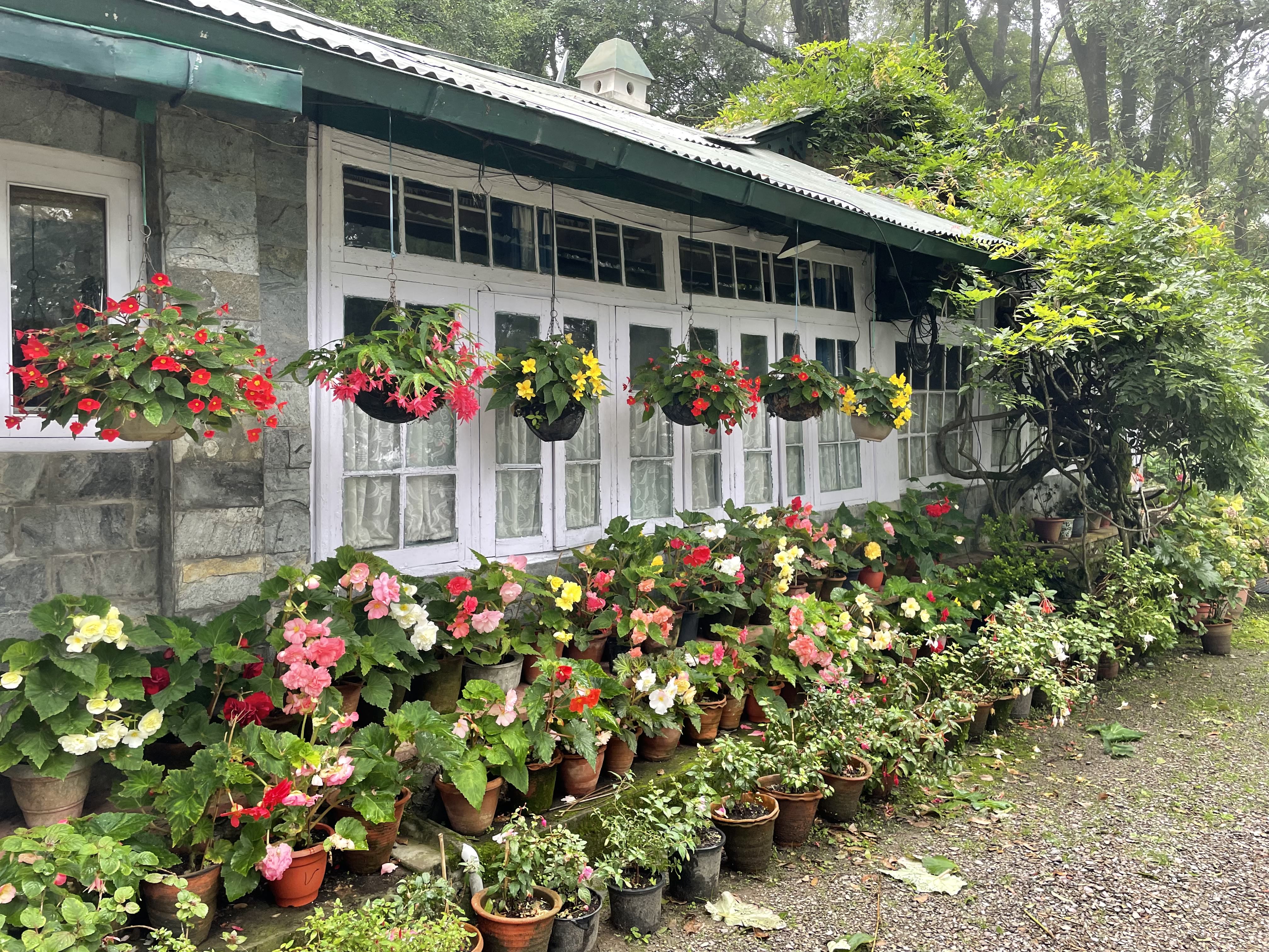 Affordable homestay with free Wi-Fi in Mallital