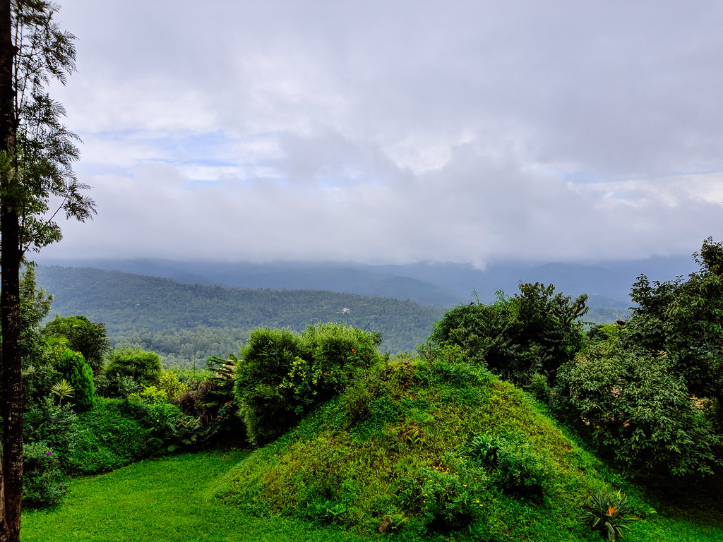 A misty panoramic view of Chikmagalur’s lush green hills and dense forest under a cloudy sky.