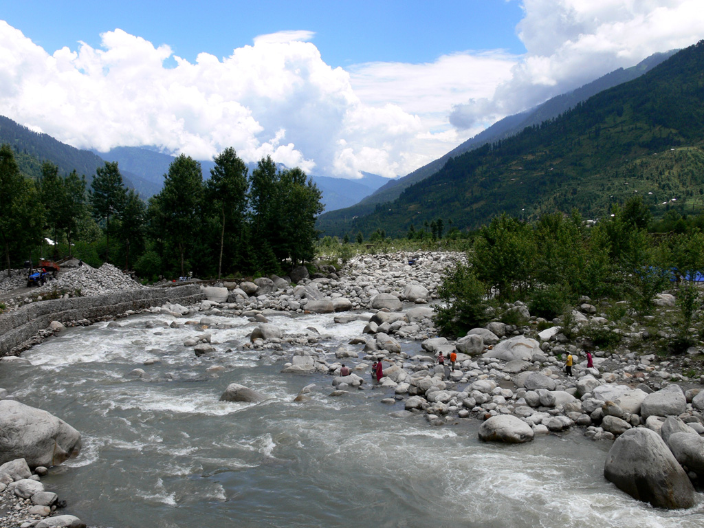 Comfortable homestay room with scenic forest view