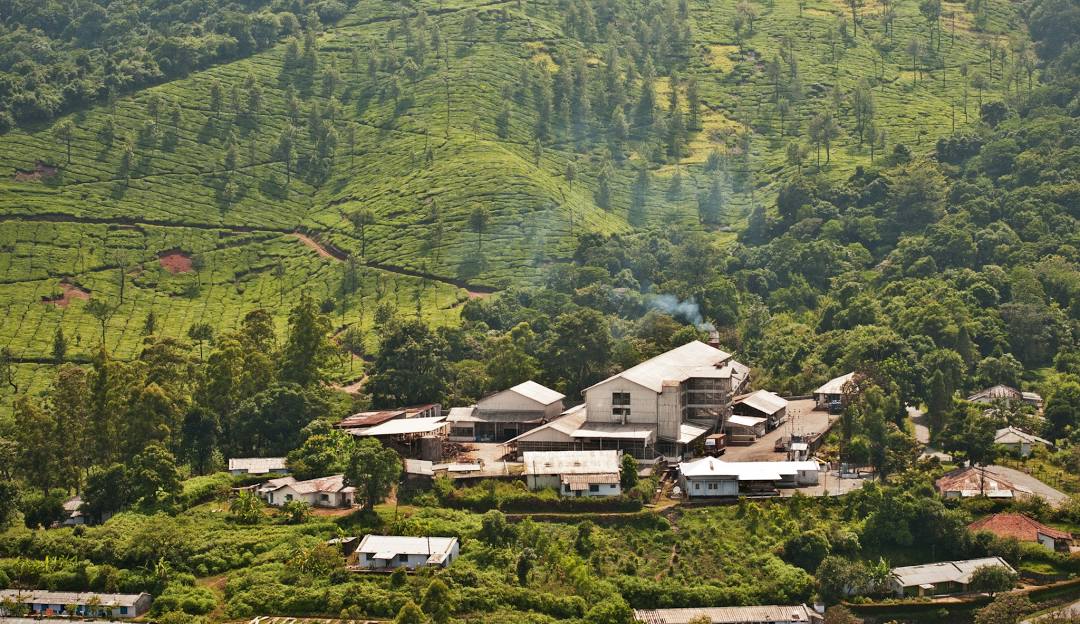 home stays in Sakleshpur